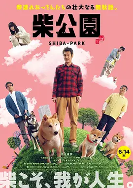 黑人日比视频